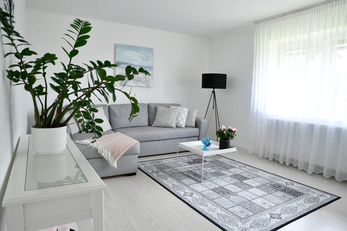 Freshly painted living room with soft neutral walls and crisp white trim